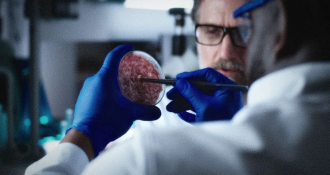 Scientific “Breakthrough” Makes Lab-Grown “Meat” Sort of Taste Like Real Beef