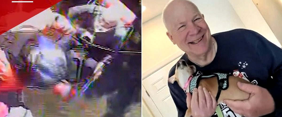 70-Year-Old Hiker Found Alive After Week Missing on Remote Michigan Island