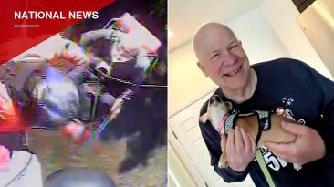 70-Year-Old Hiker Found Alive After Week Missing on Remote Michigan Island