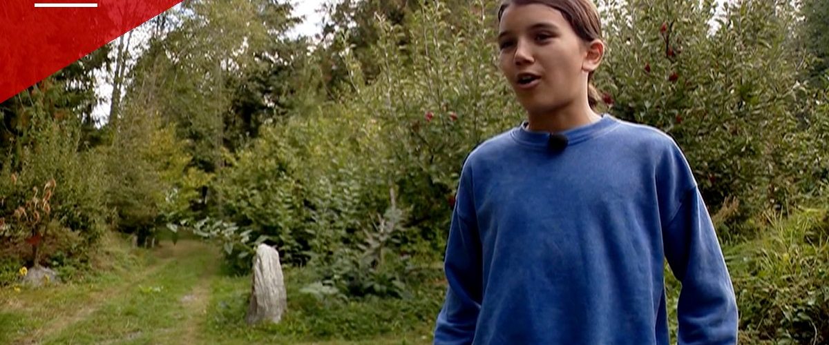 Bellingham boy, 12, fights off charging black bear with eye gouge in family's backyard