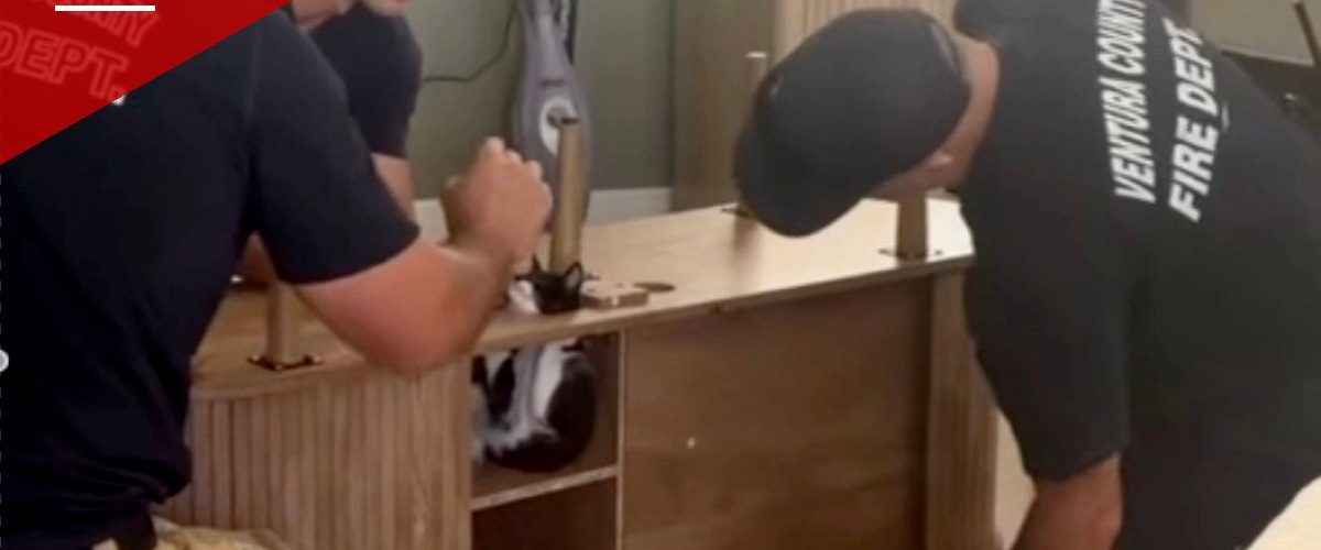 Camarillo Firefighters Free Kitten Wedged Inside Entertainment Center
