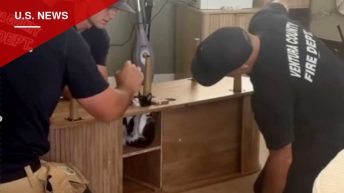Camarillo Firefighters Free Kitten Wedged Inside Entertainment Center