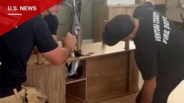 Camarillo Firefighters Free Kitten Wedged Inside Entertainment Center