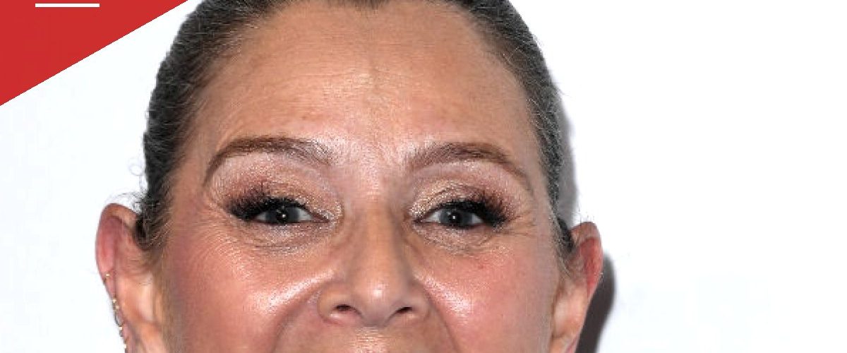 Camryn Manheim's Remarks at HRC Awards Event Spark Backlash Over Parenting Comments