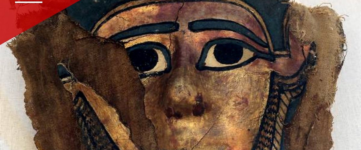 HSI Tampa Seizes More Than 22,000 Smuggled Antiquities in Major Trafficking Bust