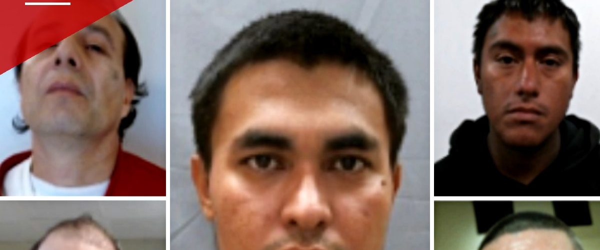 ICE Deports MS-13, 18th Street and Latin Kings Members With Convictions for Abduction, Trafficking and Assault