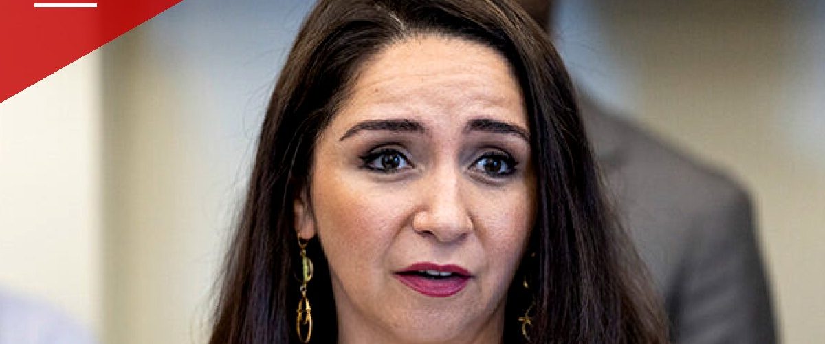 Illinois Democrat Calls to Abolish ICE and CBP, Ignites Fight Over Birthright Citizenship