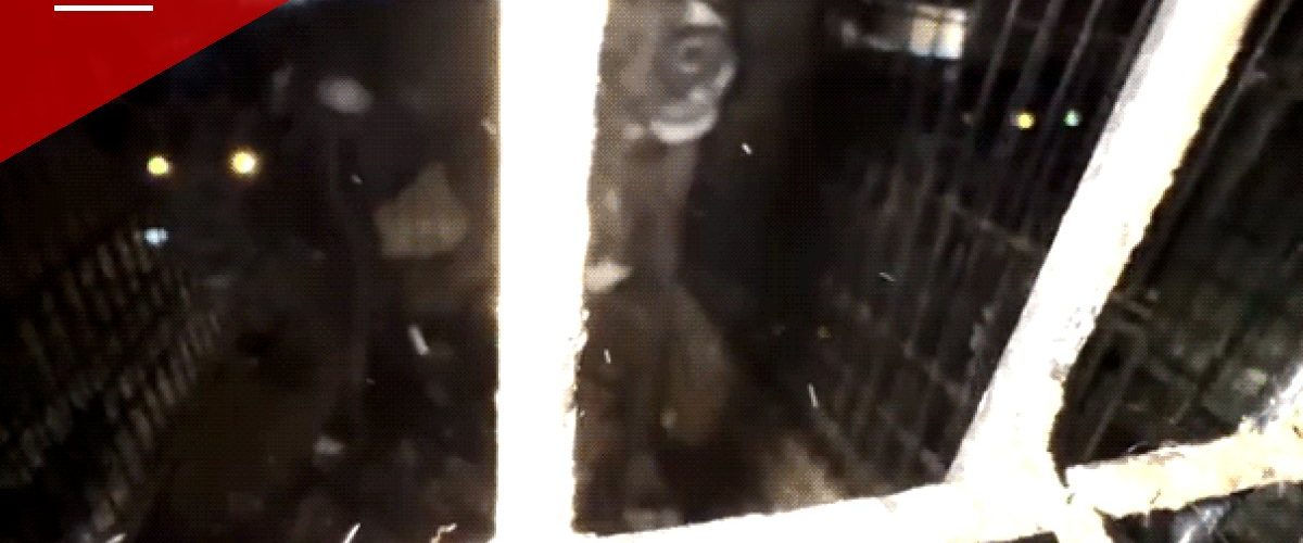 Los Angeles Rescue Operator Charged With 35 Counts After 300 Animals Found in Squalor
