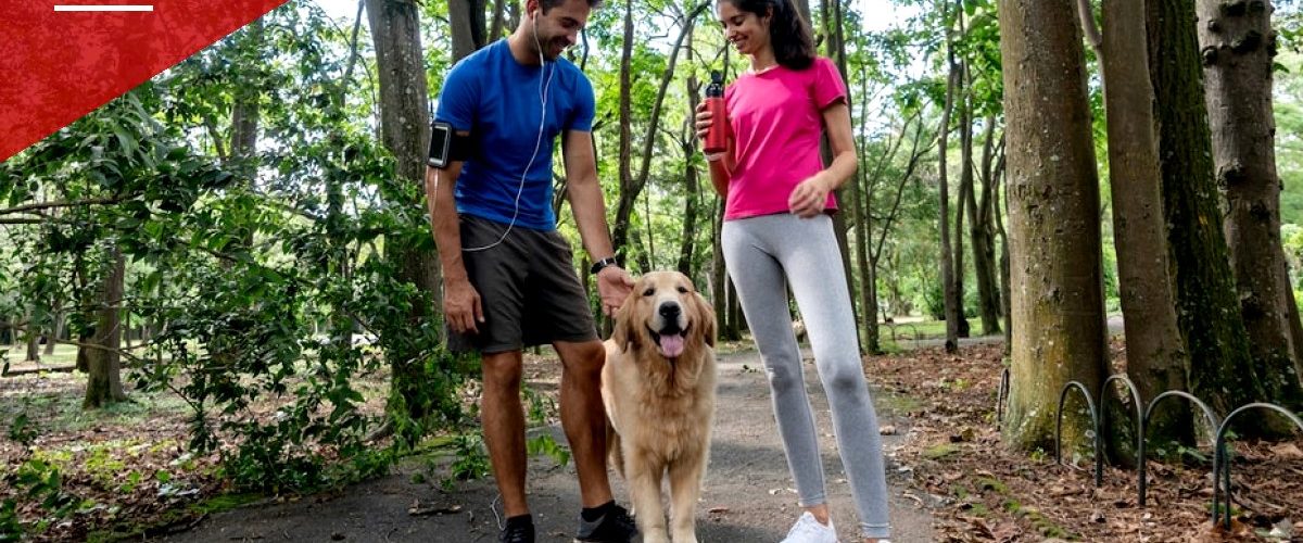 Minneapolis Longevity Researcher: Dog Ownership Linked to Longer Life