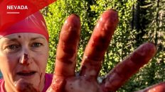 Reno Swim Instructor Needs 38 Stitches After River Otter Attack at Lake Tahoe
