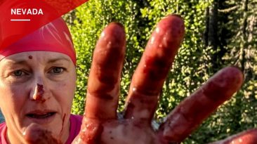 Reno Swim Instructor Needs 38 Stitches After River Otter Attack at Lake Tahoe