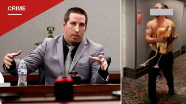 Canadian Tourist Convicted of Animal Cruelty After Taking Flamingo From Las Vegas Hotel Habitat
