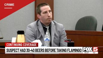 Canadian Tourist Testifies He Had No 'Malicious Intent' in Vegas Flamingo Snatching Trial