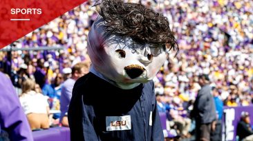 LSU's Mike the Tiger Dons Michael Myers Costume, 'Stalks' Referee Before Being Pulled Back by Staffer