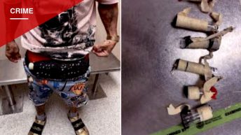 Miami Traveler Charged After Customs Officers Find 10 Live Birds Taped Beneath His Clothing