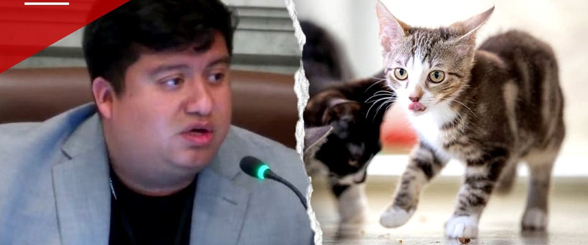 Minneapolis Council Mandates Human Drivers in Robotaxis Over Cat Deaths, Mayor Frey Vows Veto