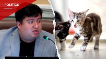 Minneapolis Council Mandates Human Drivers in Robotaxis Over Cat Deaths, Mayor Frey Vows Veto