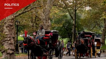 New York City Council Votes to Phase Out Horse-Drawn Carriages by 2028
