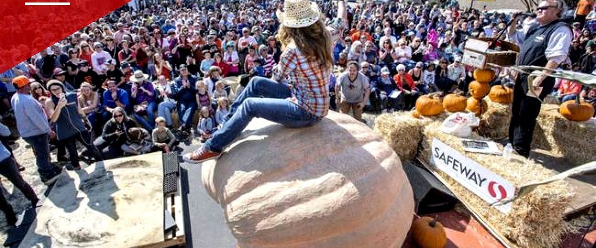 Record-Breaking Pumpkins Draw Crowds in California and Rhode Island