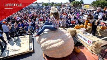 Record-Breaking Pumpkins Draw Crowds in California and Rhode Island