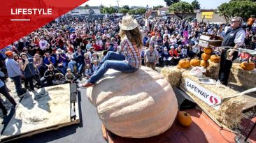 Record-Breaking Pumpkins Draw Crowds in California and Rhode Island