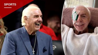 Ric Flair Hospitalized After Tampa Fall, Says 'I Will Be Okay'