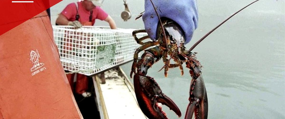 Trump Administration Unveils 'America First Seafood Strategy' and New U.S.-Caught Label
