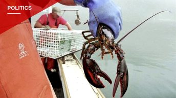 Trump Administration Unveils 'America First Seafood Strategy' and New U.S.-Caught Label